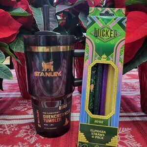 Wicked x Stanley Tumbler Elphaba for Good 20 oz & CharCharms Straw 4-pack, BNWT!
